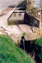 tlavoir